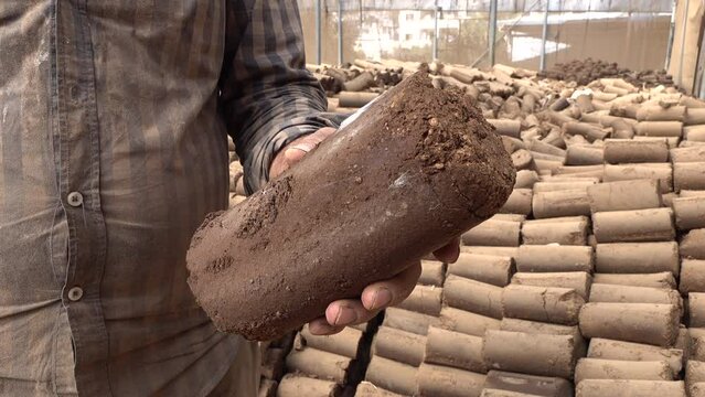 Farmer holds grinded and squeezed olive pits (and other rest material), used for heating and cooking, in Bethlehem, Palestinian Territories
