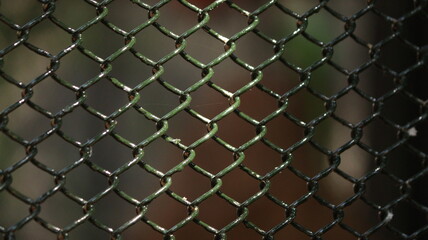 Fototapeta premium iron grill net pattern. with blur background