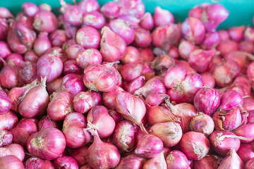 Shallot put together as a group in basket basket at the market, Fresh red onions background, shallots fresh purple in basket, Shallots close up ,Vegetables for health Shallots is herbal.