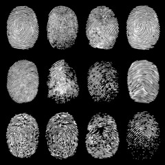 White Fingerprint Vector Collection