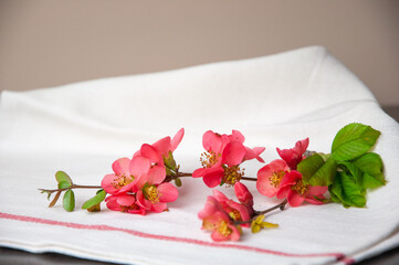 towel and flower