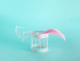 Opened bird cage and soft pink feather, creative arrangement against pastel sky blue background....