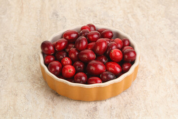 Ripe sweet tasty cranberry in the bowl