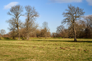 Flussaue der Wei&szlig;en Elster zwischen Bornitz bei Zeitz und G&ouml;bitz, Burgenlandkreis, Sachsen-Anhalt, Deutschland
