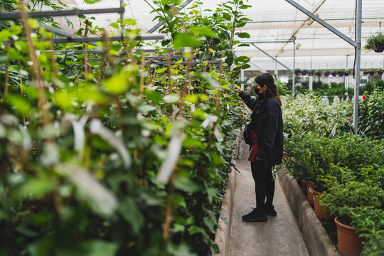 Chica Joven Guapa Morena Con Mascarilla Por Covid 19 Comprando En Un Vivero Plantas Y Arboles