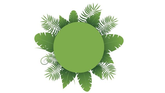 Motion graphic of Various types of Green leaves  in the concept of the jungle with circle space for text.