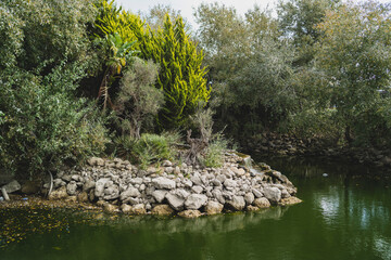 Plantas verdes en sus macetas en invernadero