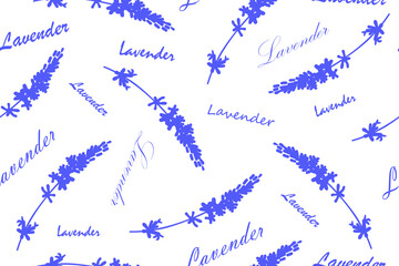 Lavender purple flower seamless pattern with lavender words. Elegant fabric on white background. Sketch vector illustration for cosmetics, organic or health care products, prints or wallpaper design