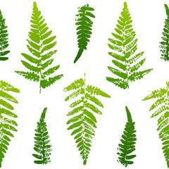 Seamless pattern with fern leaves paint prints isolated on white background 4