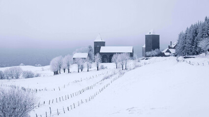 Winter snow landscape _ house _ tree _ fence