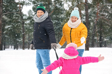 Little girl with her grandparents sledging on snowy winter day