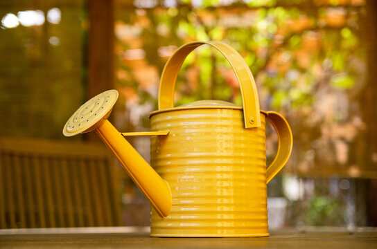 Close up of an orange watering can. Growing flowers concept.