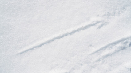 Fototapeta na wymiar snow surface texture background