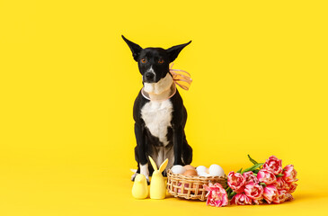 Cute dog with Easter eggs, tulips and decor on yellow background