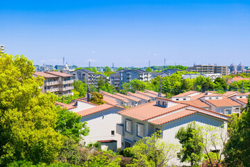 Fototapeta premium 青空が広がる郊外の住宅地