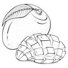 Whole and chopped half mango. Vector illustrations in hand drawn sketch doodle style. Line art fruit isolated on white. Element for coloring book, design, print.