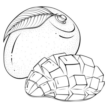 recommend clip art: Whole and chopped half mango. Vector illustrations in hand drawn sketch doodle style. Line art fruit isolated on white. Element for coloring book, design, print.