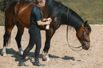Woman standing next to horse and holding anti-insect repellent for pet in hand on training arena in...