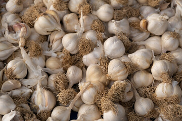 Ripe garlic sold in the market
