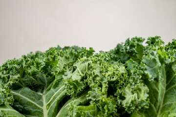 Cabbage kale close-up, free space from above. Place for text.