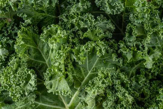 Kale leaves full frame top view, close-up.
