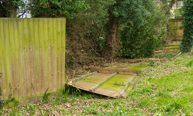 Fence panels blown over by excessive wind during a storm