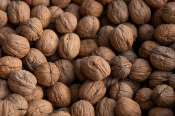 Ripe walnut sold in the market