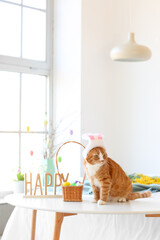 Cute cat with bunny ears, basket and Easter eggs sitting on table in bedroom