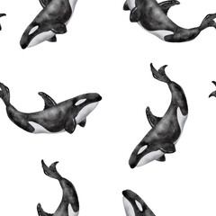 seamless pattern with watercolor illustrations of large killer whales. hand painted on a white background.