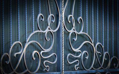 Decorative elements of metal gates.