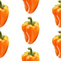 Illustration realism seamless pattern vegetable paprika orange color on a white isolated background. Sweet bell pepper. High quality illustration