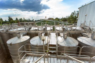 Large group of green recycled glass wine bottles at winery