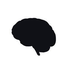 human brain illustration