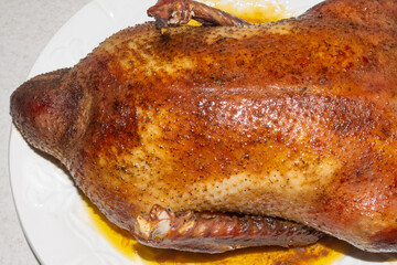 Sparkling roasted duck on white plate