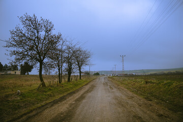 Fototapeta na wymiar Village road, road in the countryside and trees, cloudy weather, Thrace, Turkey