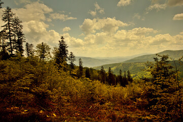 Górski widok w Beskidach. © Piotr