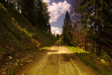 Leśna droga polna - na szlaku. Beskid mały. © Piotr