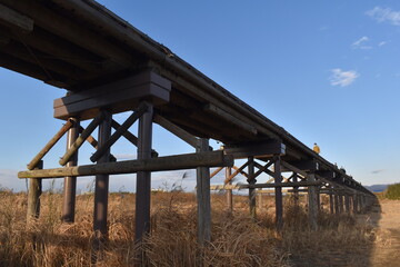 京都観光流れ橋木製橋