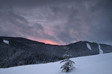 Dusk in Carpathians
