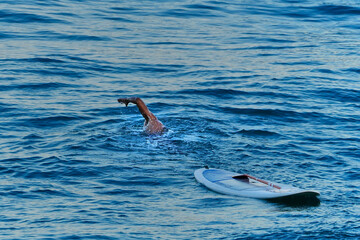 Paddle surf swimming
