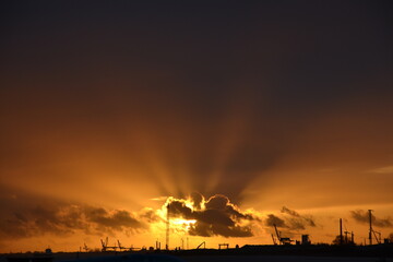 natur, pflanze, nahaufnahme, windpark, eis, schnee, schmetterling, industrie, k&uuml;ste, meer, baum, b&auml;ume, wiese, gras