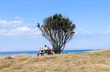 Obraz premium The family sits on benches under a tree and looks at the sea. Natural and sea landscape. Beautiful beach blue sea water. Blue sky background. Sea skyline. High quality photo