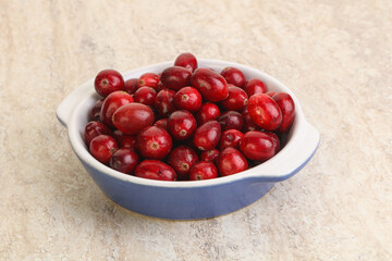 Ripe sweet tasty cranberry in the bowl