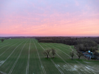 Obraz premium sunrise over a grain field in february, germany, Schleswig-Holstein, Trenthorst