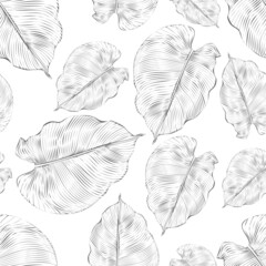 Vector illustration. Seamless pattern. Luxurious gray floral print on a white background. Floral pattern, gray leaf of philodendron, violets with lines.