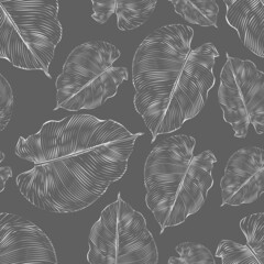 Vector illustration. Seamless pattern. Luxurious white floral print on a gray background. Floral pattern, white leaf of philodendron, violets with lines.