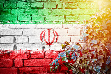 Iranian grunge flag on brick wall with ivy plant sun haze view