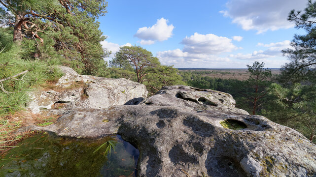 Pines and rocky chaos in the Dame Jouanne hill. Fontainebleau forest