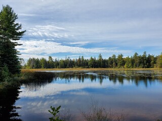 lake in the forest