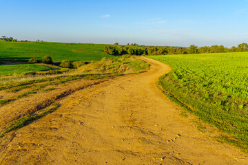 Countryside in the Ruhama Badlands, the Northern Negev Desert